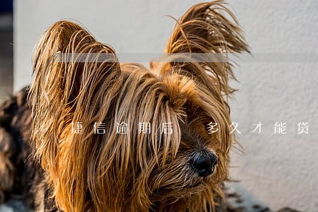 捷信逾期后 多久才能贷款 捷信逾期后 多久才能贷款